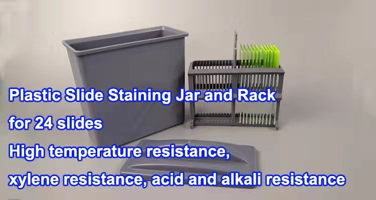 Pathology Slide Staining Jar And Staining Rack