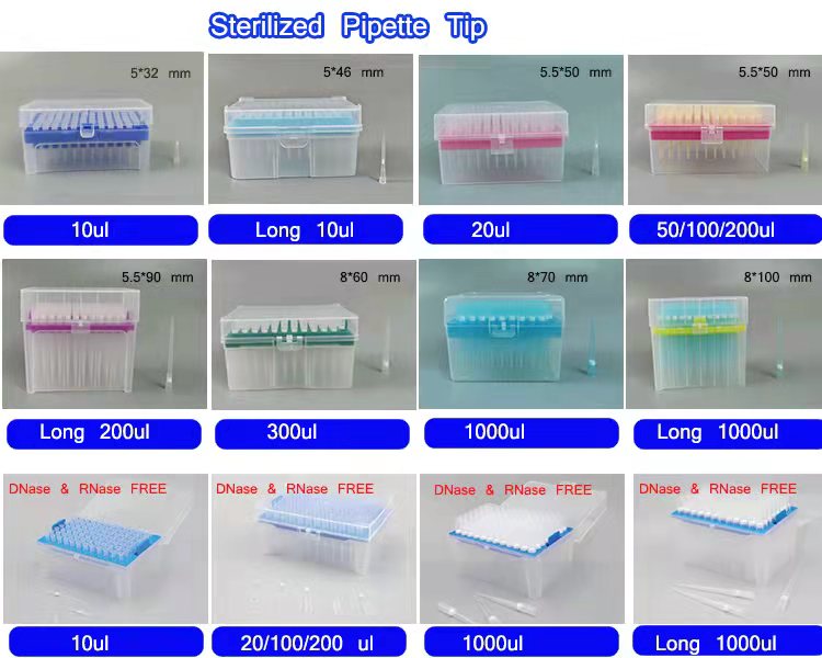 filter tips pipette